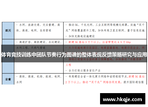 体育竞技训练中团队节奏行为图谱的整体表现反馈策略研究与应用
